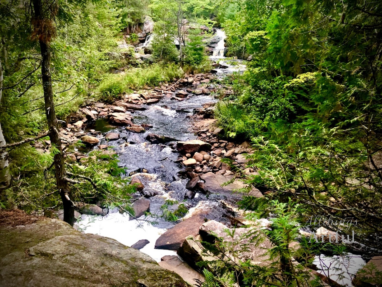 Forest Waterfall Creek | Ontario Canada Wilderness Stream | Printable Wall Art