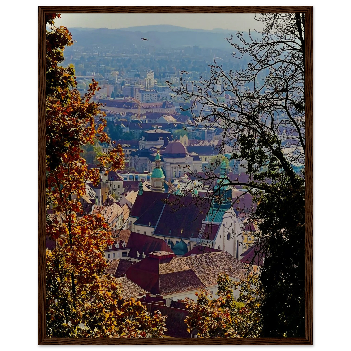 23831625-f929-49f4-851e-9b6497d65da1