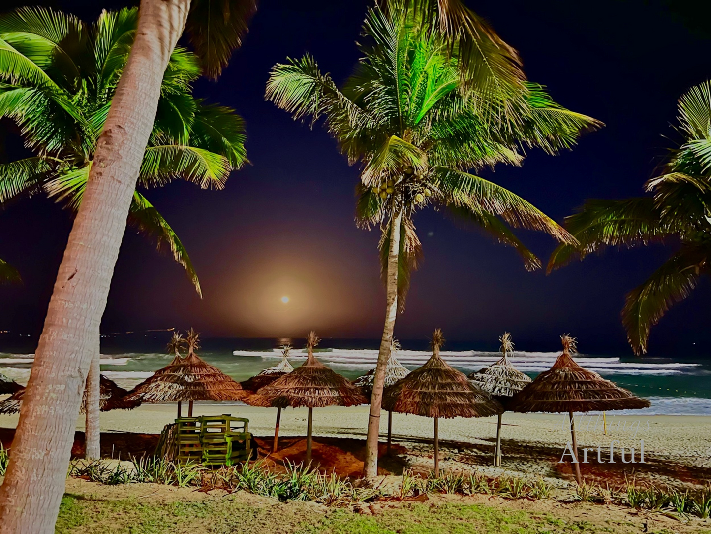 Beach Palms by Moonlight | Da Nang Vietnam Tropical Night Beach | Printable Wall Art
