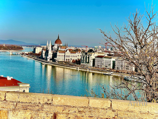 Budapest Crown | Hungary Parliament Building Danube | Printable Wall Art