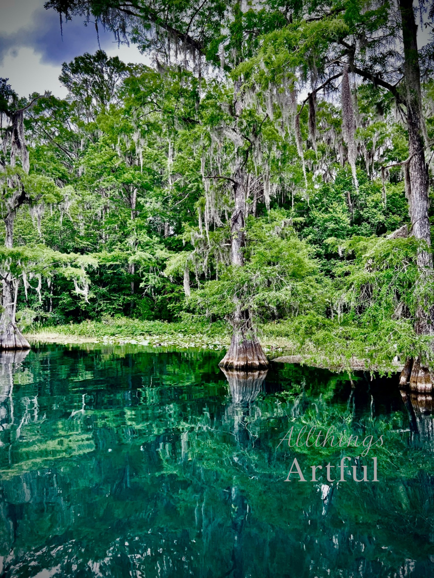 Cypress Reflection | Ginnie Springs Florida Emerald Water Forest | Printable Wall Art