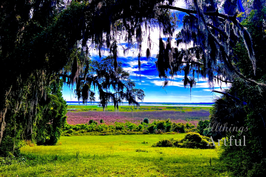 Framed by Moss | Gainesville Florida Spanish Moss Marshland Vista | Printable Wall Art