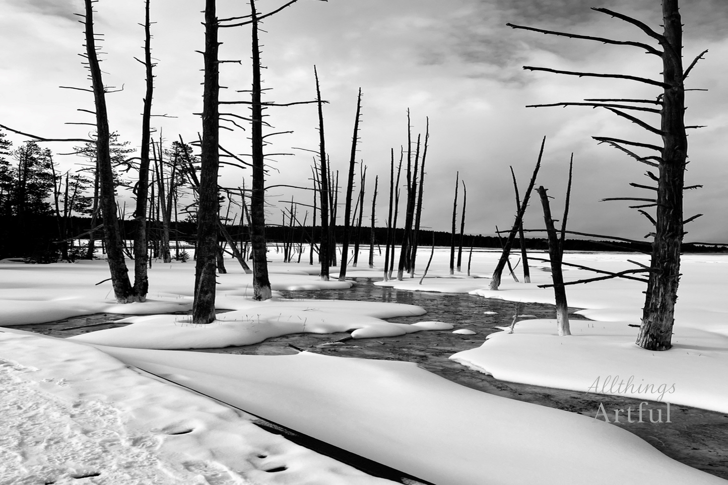 Frozen Stillness | Yellowstone Wyoming Dead Trees Winter Landscape | Printable Wall Art
