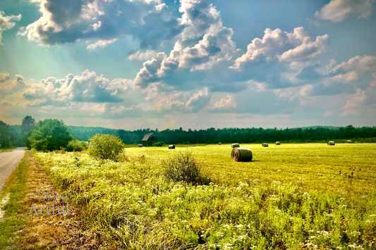 Rolling Sky Over Hayfields | Mattawa Ontario Canada Rural Landscape | Printable Wall Art