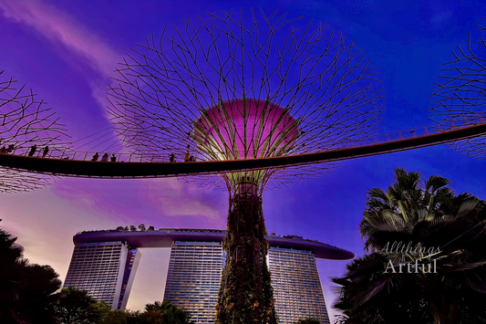 Super Tree Dreamscape | Singapore Gardens by the Bay | Printable Wall Art
