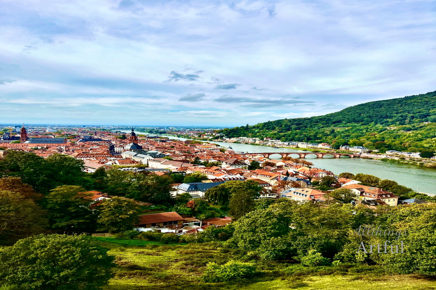 Terracotta Rooftops of Heidelberg | Germany Old Town Panorama | Printable Wall Art