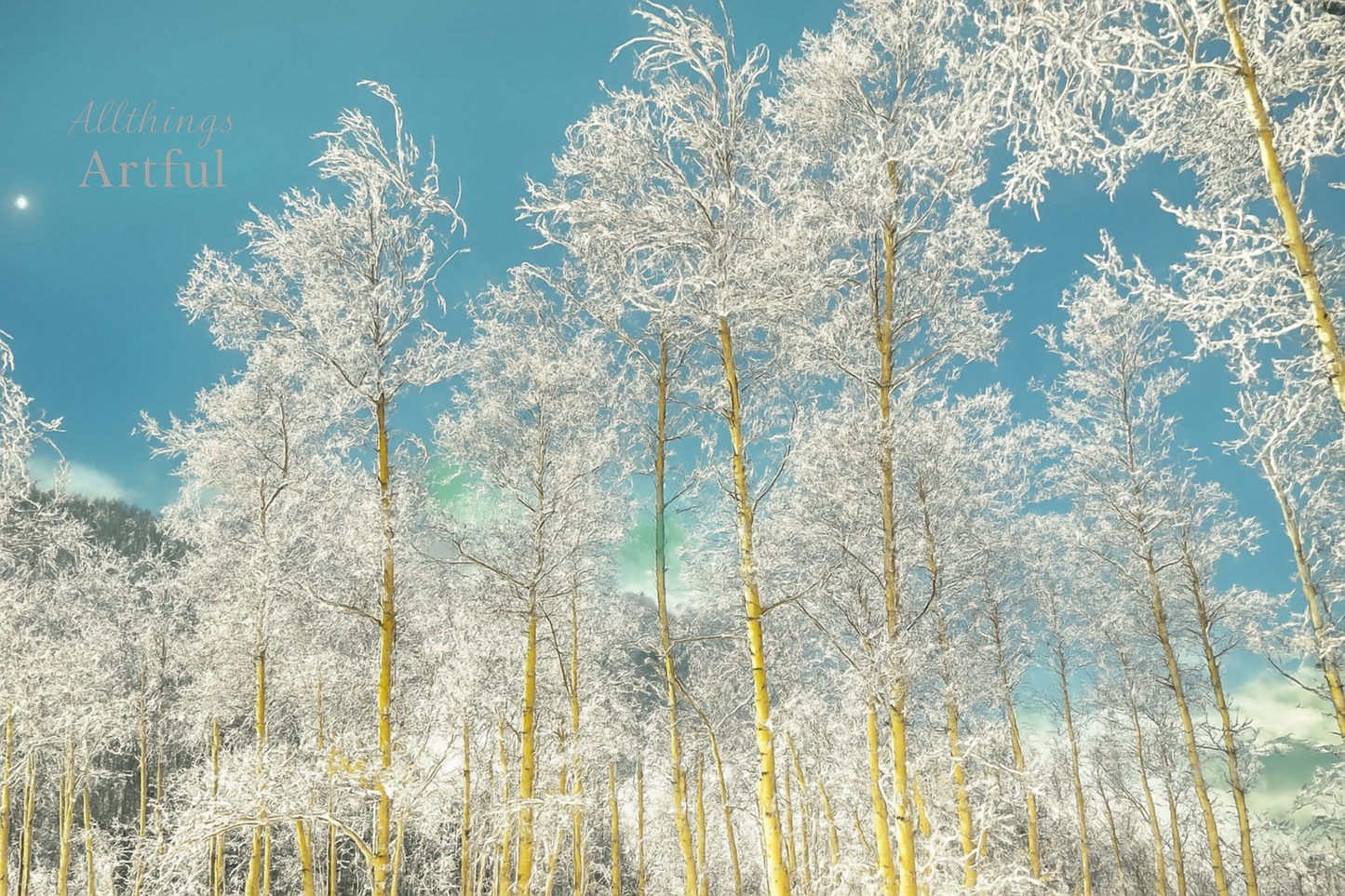 Whispers of Winter | Santa Fe New Mexico Frosted Trees Landscape | Printable Wall Art