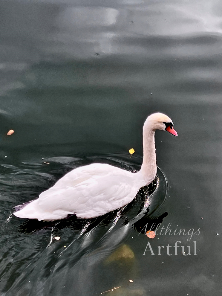 White Swan | Hallstatt Austria Alpine Lake Swan | Printable Wall Art